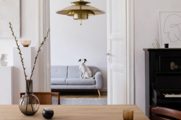 Basiseinheit Hund Wohnung Couch Training